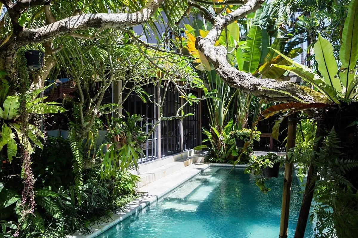 Vila Where Art and Relaxation Meet in Tropical Paradise Ubud Indonésie