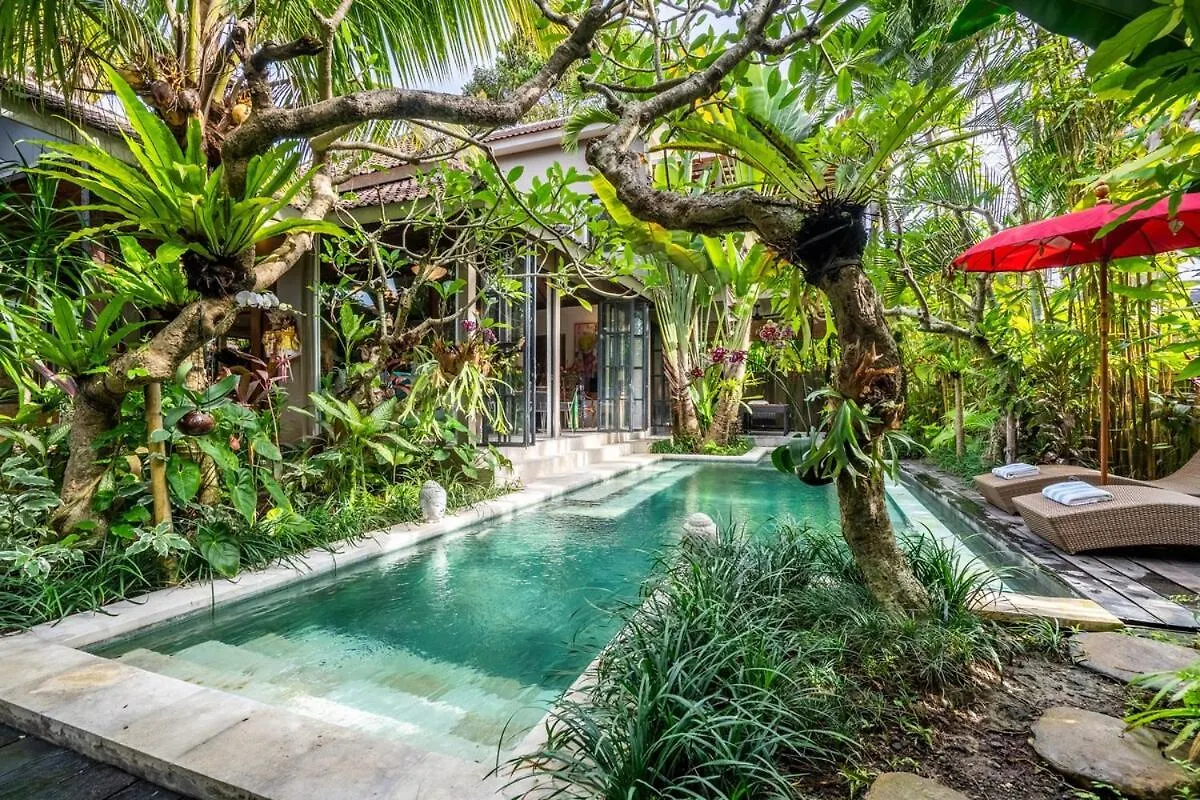 Villa Where Art and Relaxation Meet in Tropical Paradise Ubud