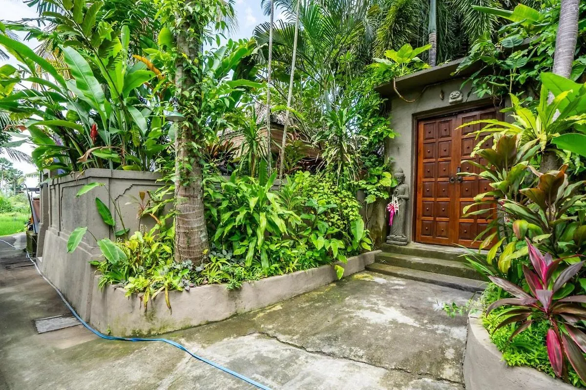 Where Art and Relaxation Meet in Tropical Paradise Ubud